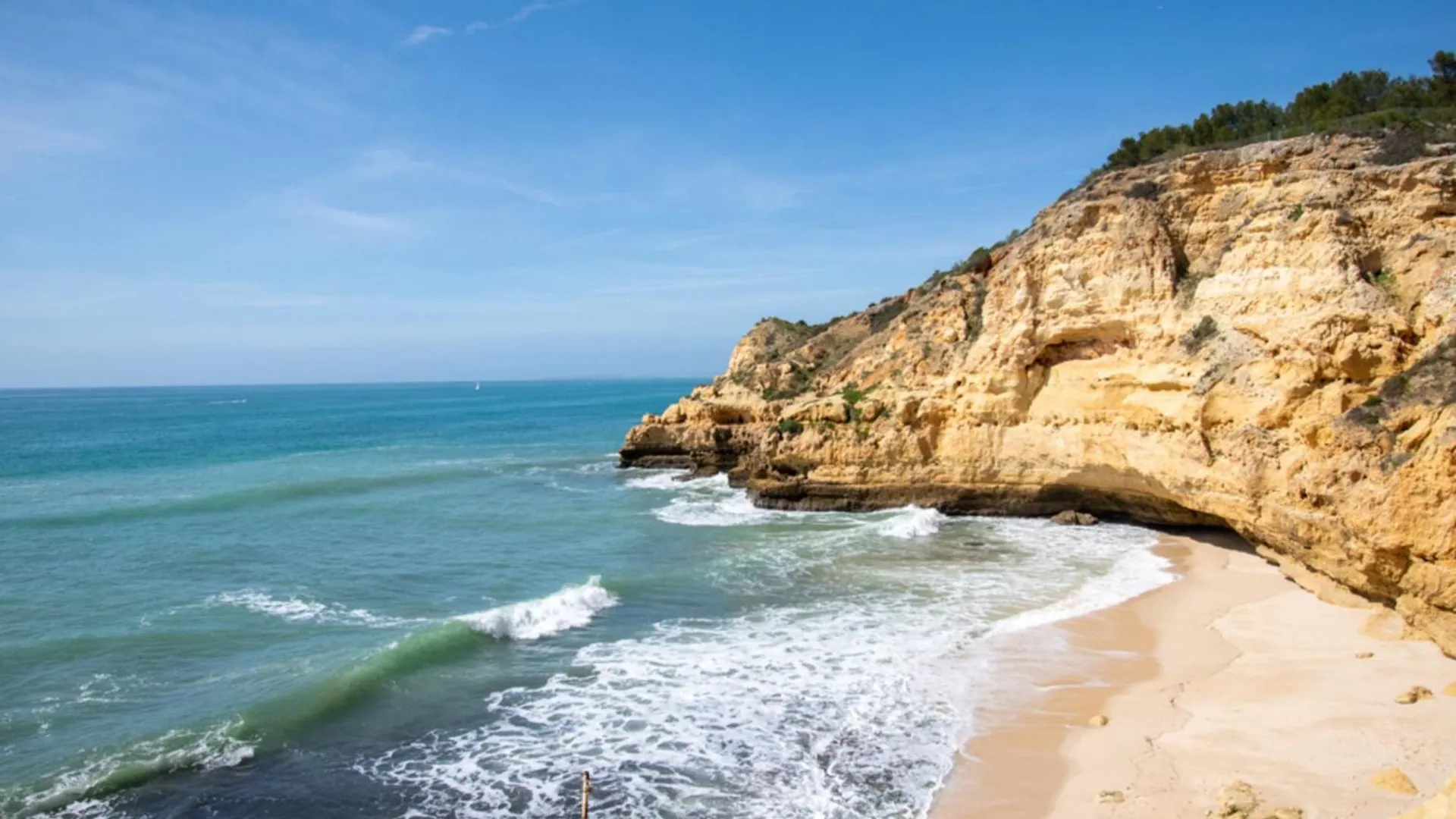 Azula - Bright And Airy 2 Bedroom Apartment With P Carvoeiro